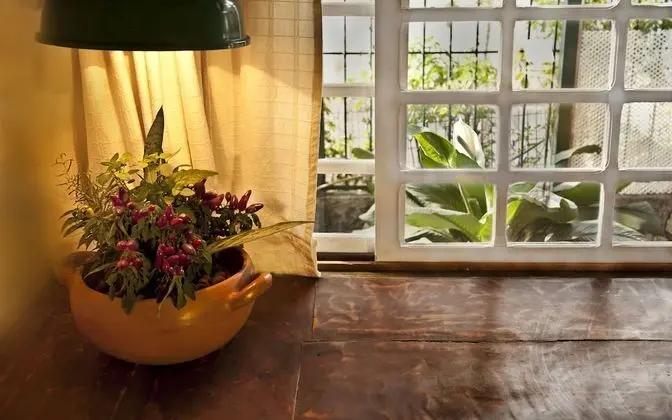 Superior Stüdyo, Balkon