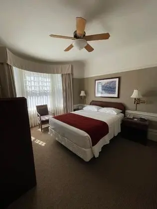 Signature Stüdyo, 1 Büyük (Queen) Boy Yatak