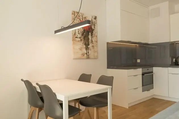 Basic Stüdyo Süit, 1 Yatak Odası, Şehir Manzaralı