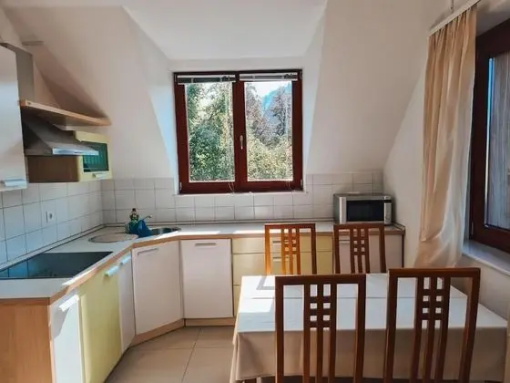 Deluxe Stüdyo (Apartma z 1 spalnico z balkonom)