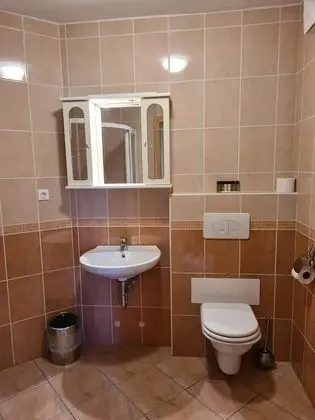 Deluxe Stüdyo (Apartma z 1 spalnico z balkonom)