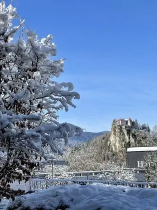 Superior Stüdyo (Apartma z 2 spalnicama, teraso pogled)
