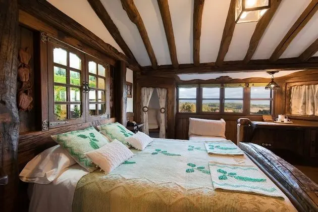 Superior Tek Büyük Yataklı Oda