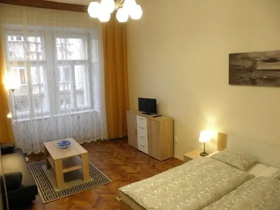 Premium Apart Daire, 1 Yatak Odası, Şehir Manzaralı