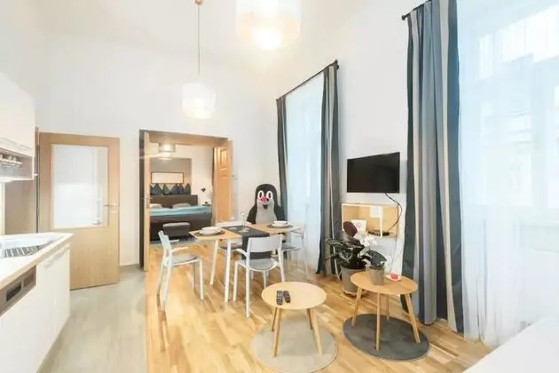 Apart Daire, 1 Çift Kişilik Yatak (Vodickova 26)