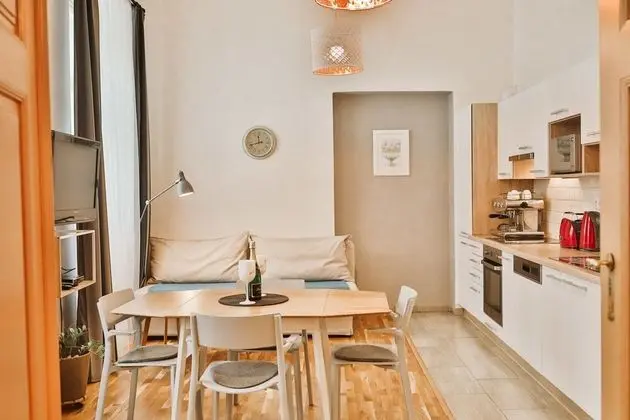 Apart Daire, 1 Çift Kişilik Yatak (Vodickova 26)