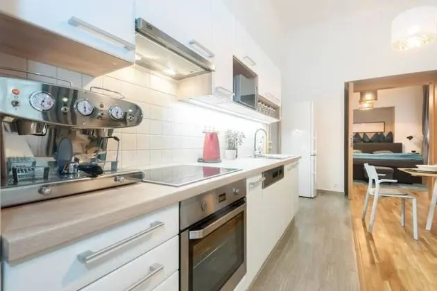 Apart Daire, 1 Çift Kişilik Yatak (Vodickova 26)