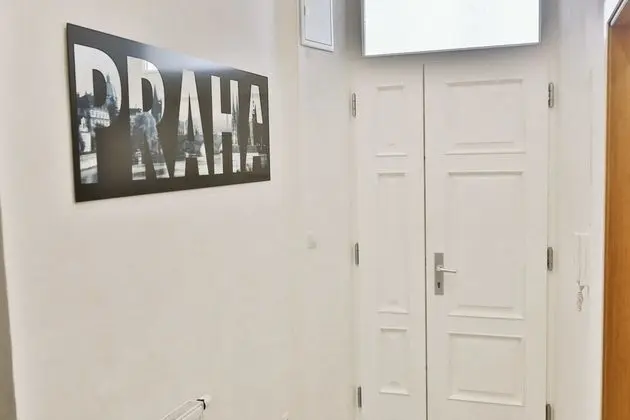 Apart Daire, 1 Çift Kişilik Yatak (Vodickova 26)