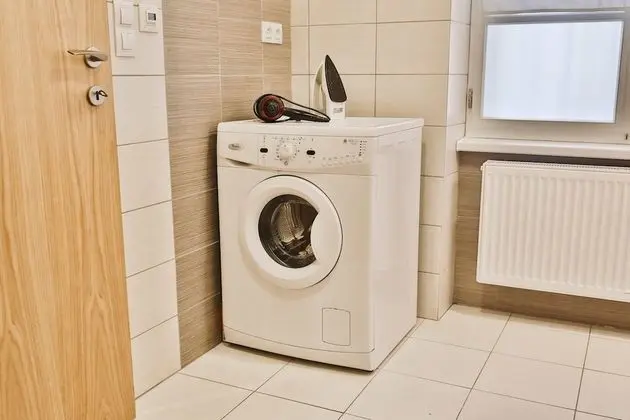 Apart Daire, 1 Çift Kişilik Yatak (Vodickova 26)