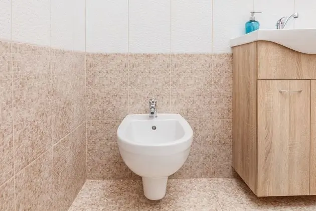 Traditional Apart Daire, 1 Yatak Odası, Küvet, Zemin Kat