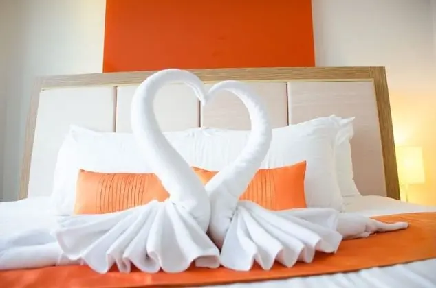 Design Süit