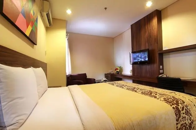 Deluxe Tek Büyük Yataklı Oda