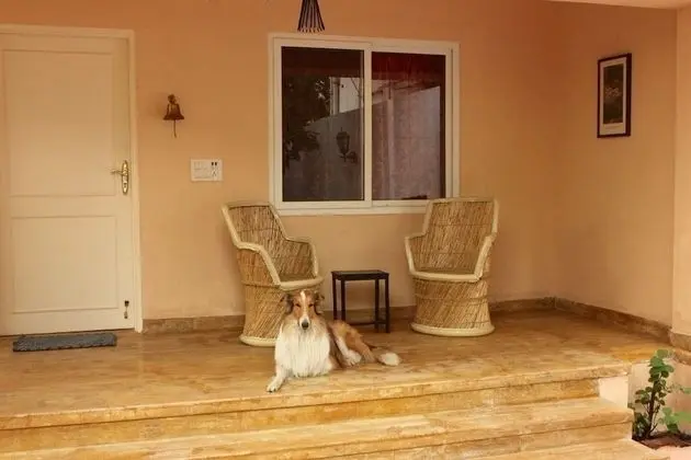 Luxury Kır Evi
