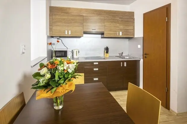 Superior Apart Daire, 1 Yatak Odası