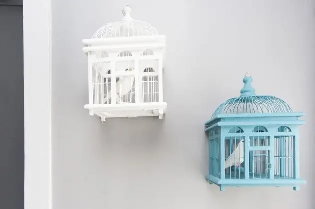 Premium Oda, 1 En Büyük (King) Boy Yatak (Separate Bath)