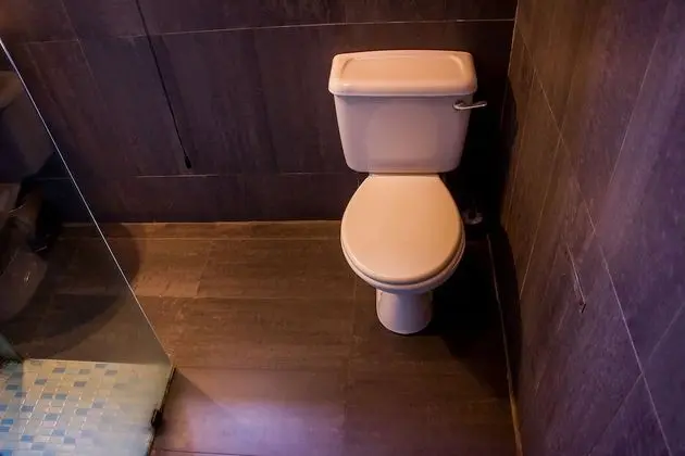 Standard Tek Büyük Yataklı Oda, 1 Çift Kişilik Yatak