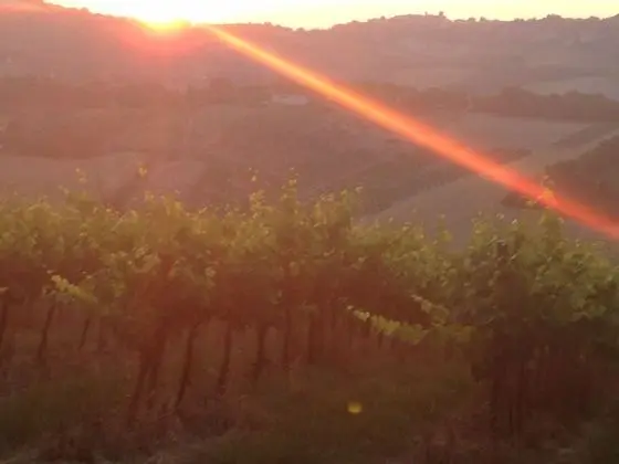 Apart Daire, 1 Yatak Odası, Balkon