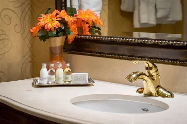 Standard Oda, 1 Büyük (Queen) Boy Yatak, Engellilere Uygun (Bathtub)