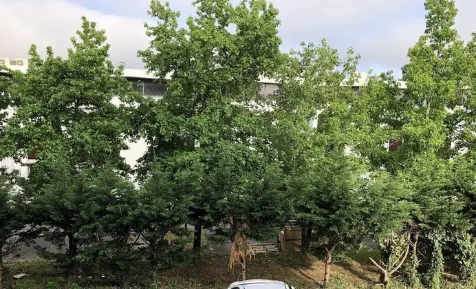 Standard Oda, 1 Çift Kişilik Yatak