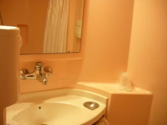 Standard Oda, Birden Çok Yatak (1 Double and 1 Single bed)