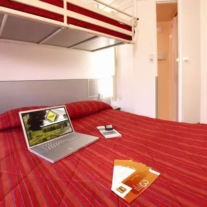 Standard Oda, Birden Çok Yatak (1 Double and 1 Single bed)