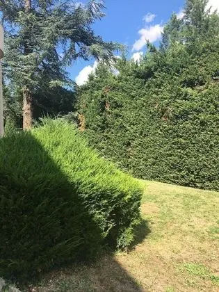 Standard Oda, 1 Çift Kişilik Yatak