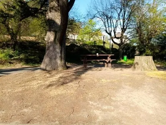 Standard Oda, Birden Çok Yatak (1 Double and 1 Single bed)