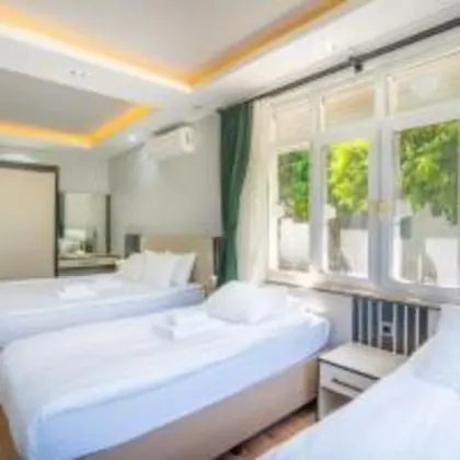 Villa, Bahçe Manzaralı, Özel Bahçeli