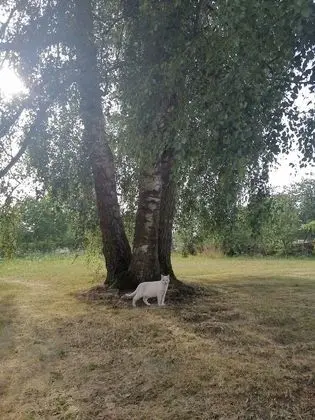 Romantic Oda, 2 Yatak Odası
