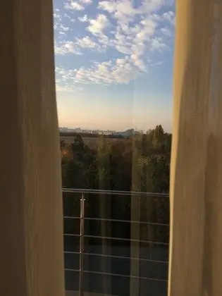 Süit
