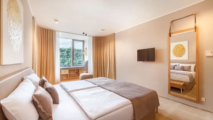 Deluxe Tek Büyük veya İki Ayrı Yataklı Oda, Nehir Manzaralı