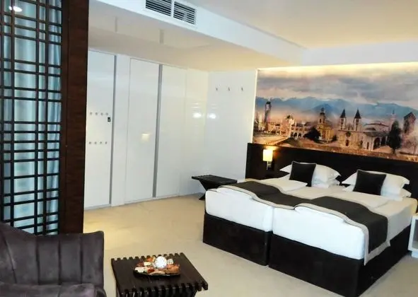 Deluxe Tek Kişilik Oda, 1 Çift Kişilik Yatak, Şehir Manzaralı