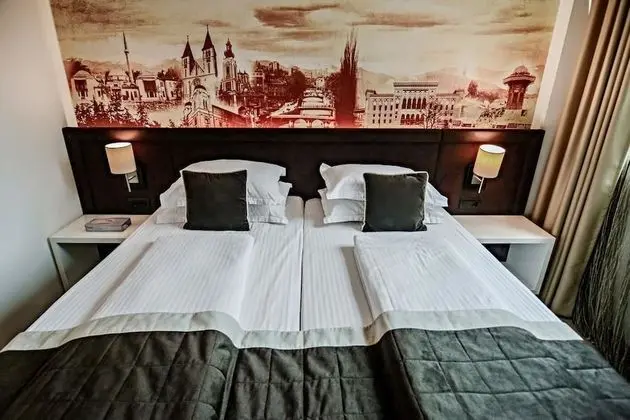 Deluxe Tek Kişilik Oda, 1 Çift Kişilik Yatak, Şehir Manzaralı