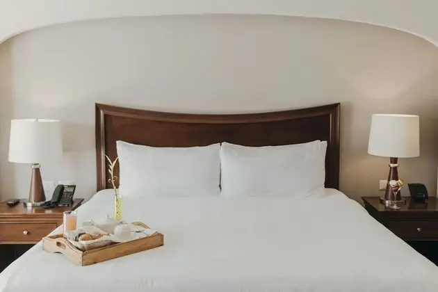 Suite con Terraza, 1 cama King