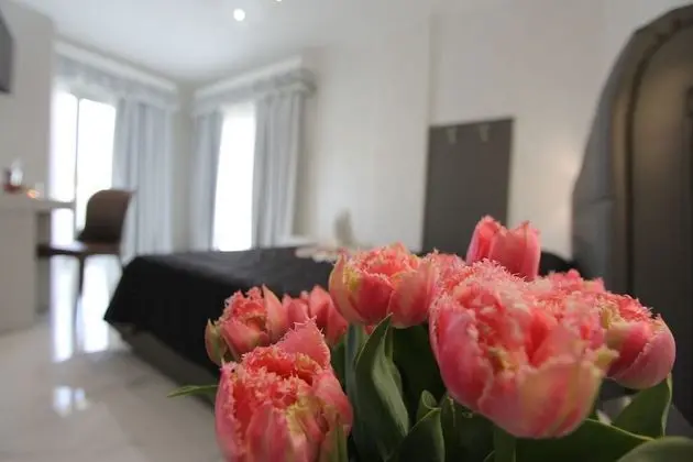 Superior Tek Büyük Yataklı Oda, 1 Büyük (Queen) Boy Yatak, Banyolu/Duşlu, Köşe