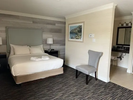 Standard Oda, 1 Büyük (Queen) Boy Yatak, Sigara İçilmez, Balkon (Pet Friendly)