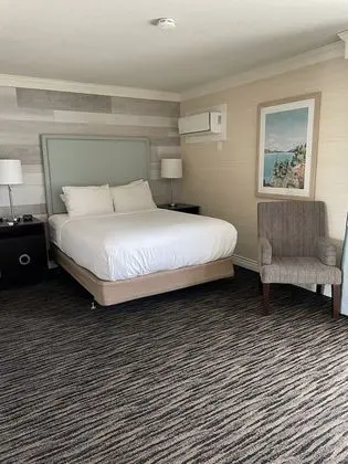 Standard Oda, 1 Büyük (Queen) Boy Yatak, Sigara İçilmez, Balkon (Pet Friendly)