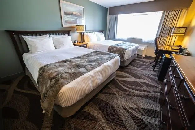 Standard Oda, 2 Büyük (Queen) Boy Yatak, Sigara İçilmez (Pet Friendly)