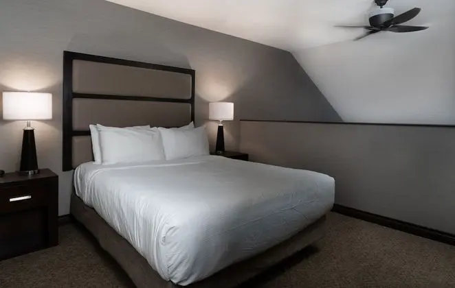 Signature Çatı Katı (Loft) (Suite)