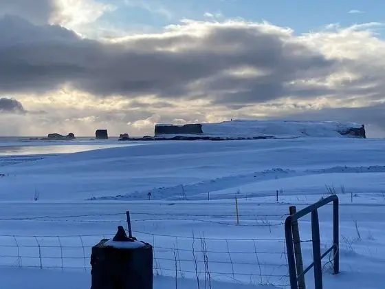 Family Dört Kişilik Oda, Ortak Banyo (East End)
