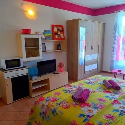 Apart Daire, 1 Yatak Odası, Sigara İçilebilir, Balkon