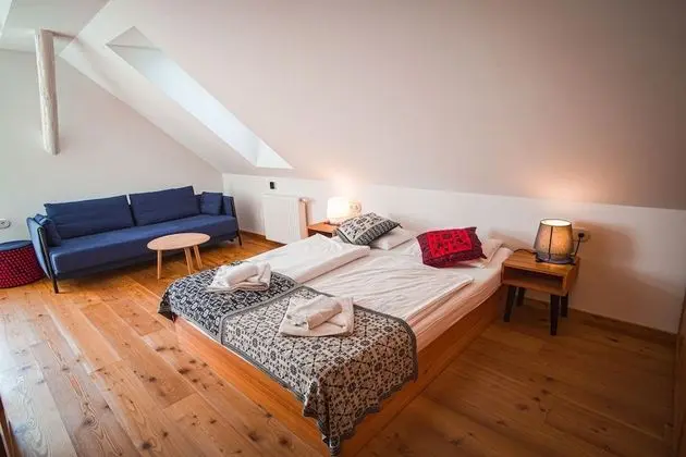 Superior Tek Büyük Yataklı Oda