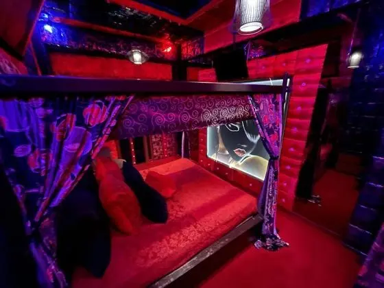 Deluxe Tek Büyük Yataklı Oda, 1 En Büyük (King) Boy Yatak (Tokyo)