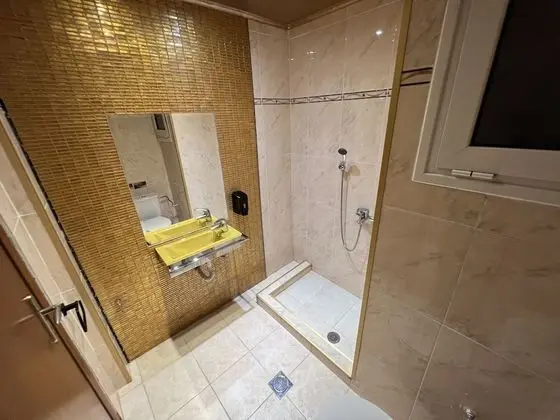 Premium Tek Büyük Yataklı Oda (Versailles)