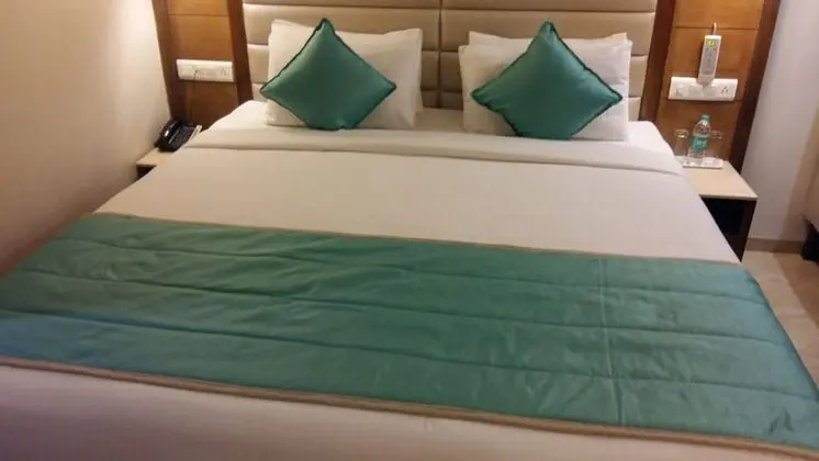 Deluxe Oda, 1 Çift Kişilik Yatak, Sigara İçilmez