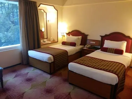 Deluxe Oda, 1 Çift Kişilik Yatak