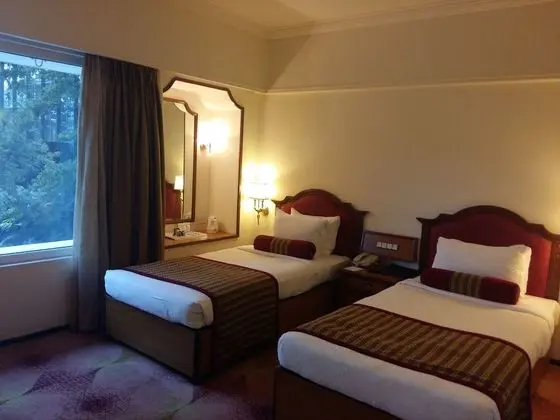 Deluxe Oda, 1 Çift Kişilik Yatak
