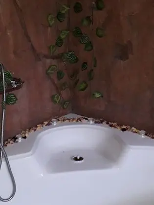 Comfort Tek Büyük Yataklı Oda, 1 Çift Kişilik Yatak, Avlu