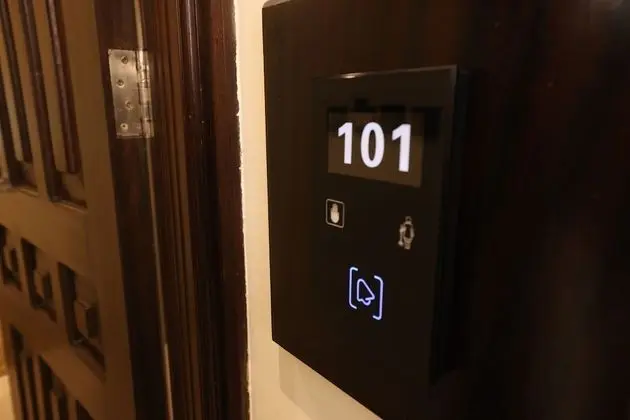 Deluxe Tek Büyük Yataklı Oda, 1 Büyük (Queen) Boy Yatak, Şehir Manzaralı
