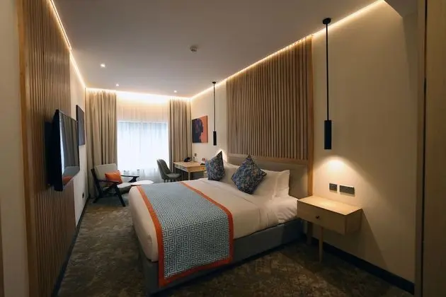 Deluxe Tek Büyük Yataklı Oda, 1 Büyük (Queen) Boy Yatak, Şehir Manzaralı